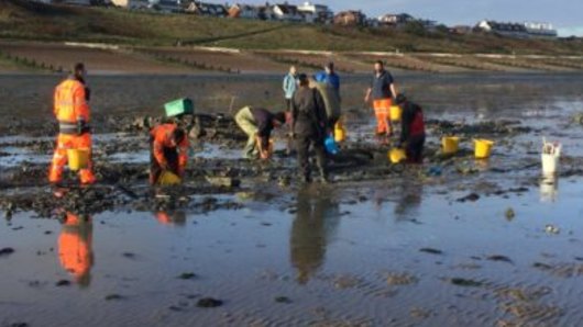 Volunteers searching for World War II relics have found the remains of a Tudor-era shipwreck.
