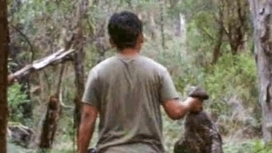 The Conservation Regulator is seeking information about two men allegedly involved in killing wildlife. This man was in possession of two bird species and a rifle and was aged in his late twenties to early thirties.