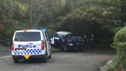 A second van allegedly stolen by the man was stopped by police about 6pm.