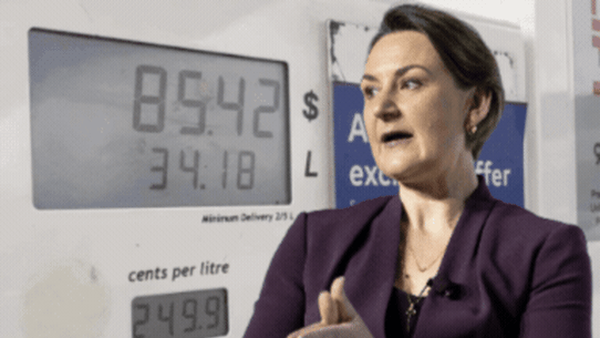 WA Energy Minister Amber-Jade Sanderson, fuel, WAtoday, Perth, GIF.