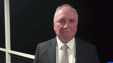 Why Barnaby barking at his dog was a political masterstroke