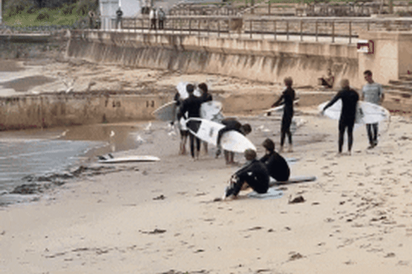 Surfers inspect the boy’s board after it was bitten by what is believed to have been a bull shark.