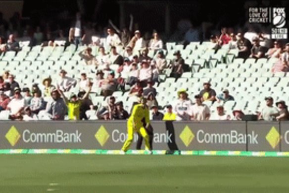 Ashton Agar ‘saves five’ with ridiculous fielding on the boundary line.