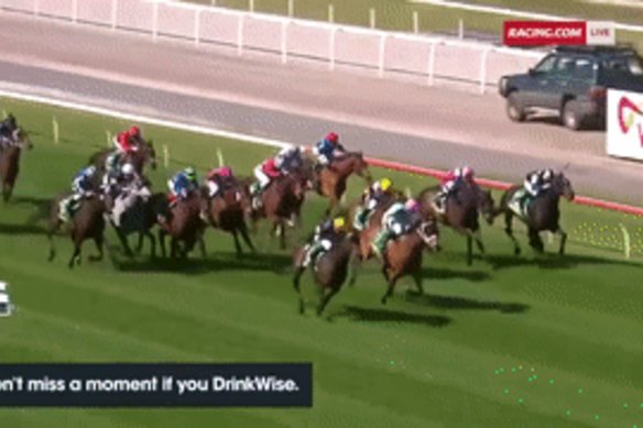 The run of Emissary in the Geelong Cup.