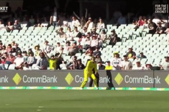 Ashton Agar ‘saves five’ with ridiculous fielding on the boundary rope in Adelaide.