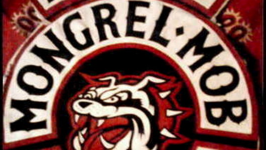 The Mongrel Mob has had an increasing presence in Queensland.