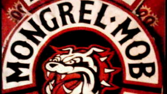 New Zealand gang to be outlawed in Queensland