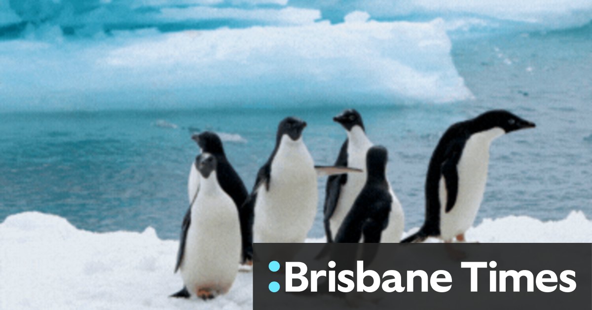Good Weekend dream destinations: Antarctica and the Sub-Antarctic Islands - Vimarsana News