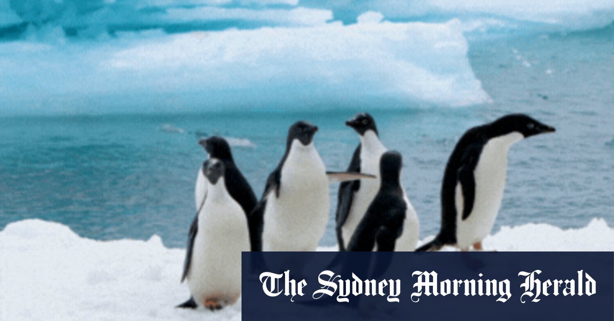 Good Weekend dream destinations: Antarctica and the Sub-Antarctic Islands - Vimarsana News