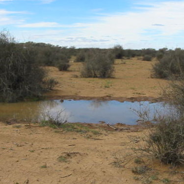 Wooleen in 2004: no perennial grass, no production, no protection for the soil or native fauna.