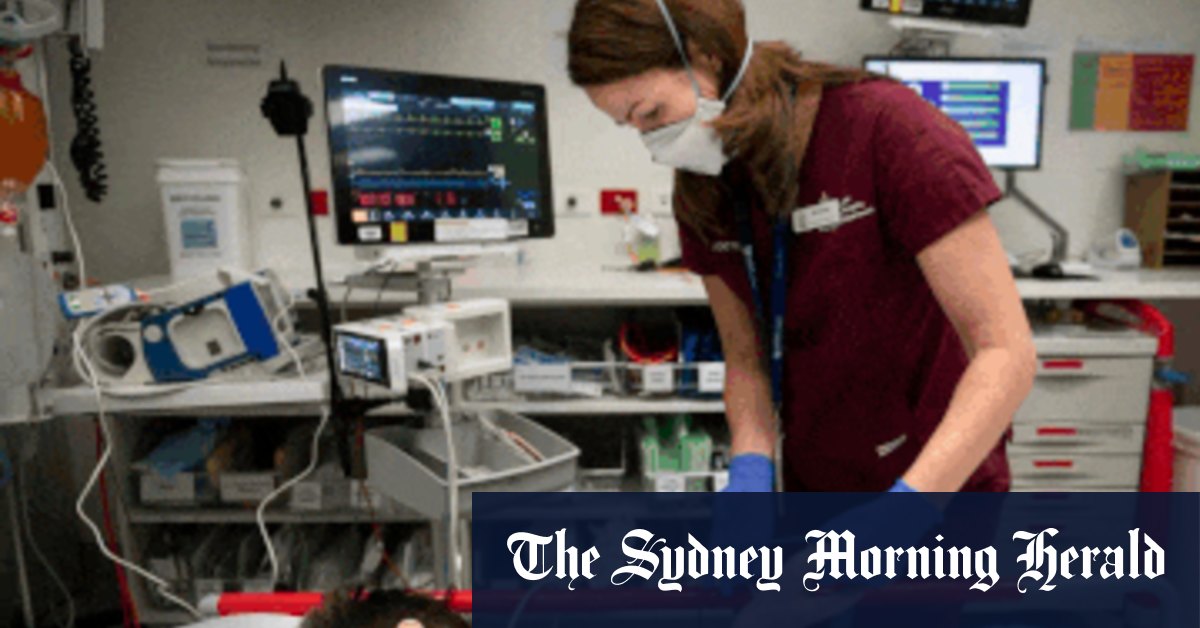 A day in the life of Royal Melbourne Hospital - Vimarsana News