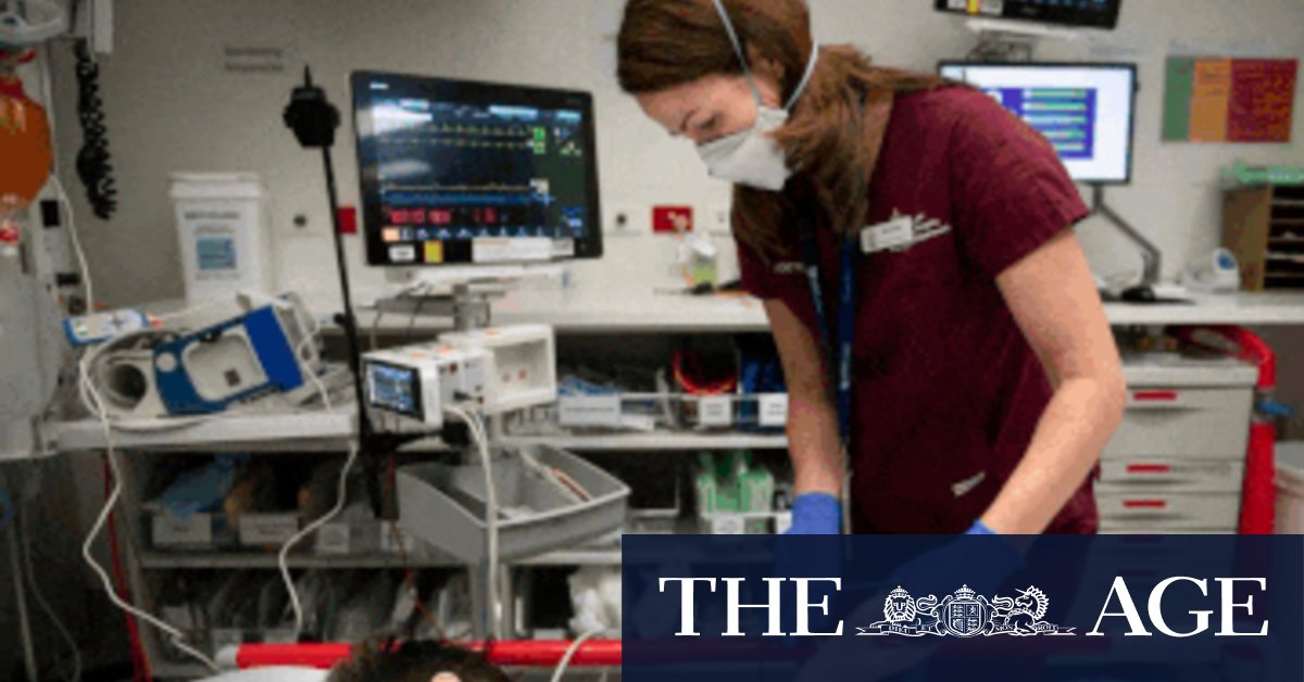A day in the life of Royal Melbourne Hospital - Vimarsana News