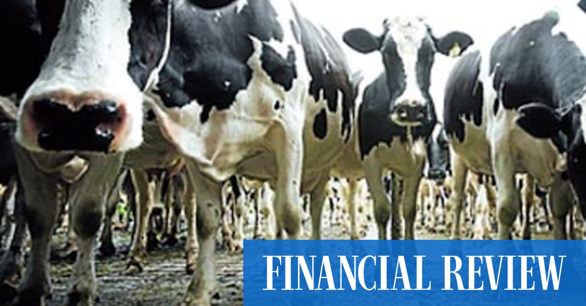 World's biggest dairy biz Lactalis gets $950,000 fine from ACCC - Vimarsana News