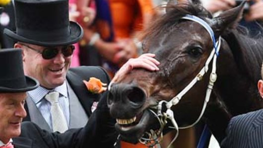You beauty ...  Peter Moody and Neil Werrett celebrate with Black Caviar after a  win.