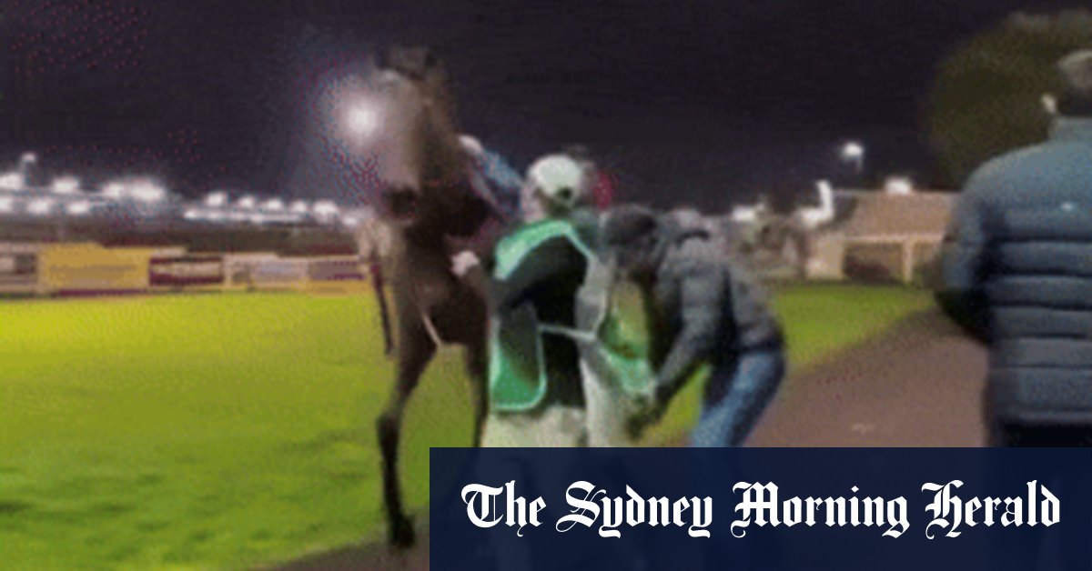 Toowoomba Incident: Michael Hellyer’s Lucky Escape | News & Updates