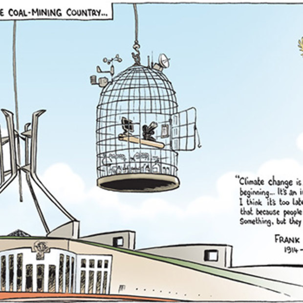The Canberra Times editorial cartoon for November 24, 2010.