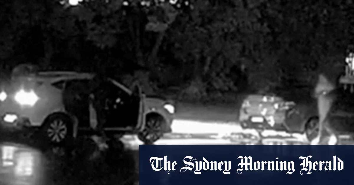 Sydney Grandmother Killed: CCTV of Drive-By Released