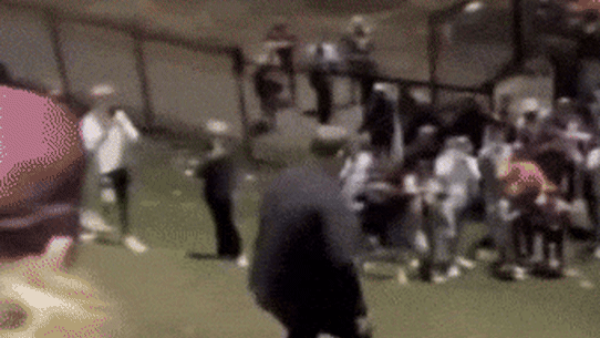 Fans at 4 Pines Park.