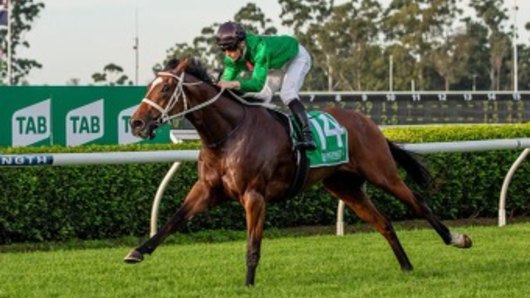 Cult hero Democracy Manifest wins at Warwick Farm.