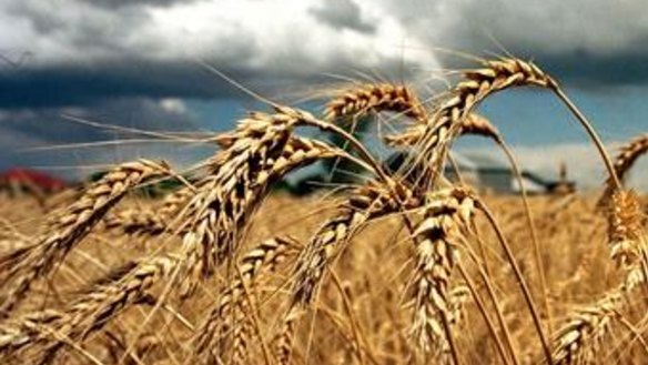 The sum of the parts could be greater than Long-Term Asset Partners' $2.4 billion whole.