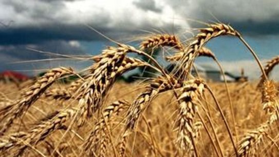 The sum of the parts could be greater than Long-Term Asset Partners' $2.4 billion whole.