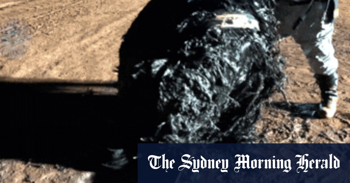 Experts believe object found on mine site in Western Australia’s Pilbara region is from Chinese rocket launch