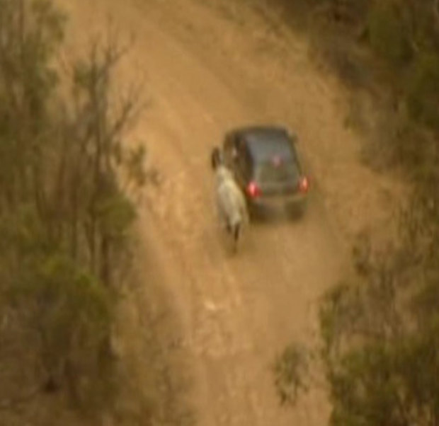 Footage taken from a Channel 9 helicopter shows a horse being led by the reins as people escape in a convoy of vehicles.