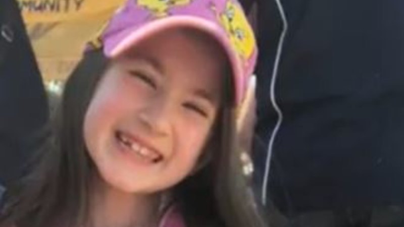 New Qld Child Safety inquiry to include case of eight-year-old left to die