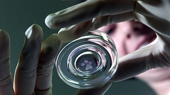 Biotech company Mesoblast is focused on creating a treatment for the worst-affected COVID-19 patients.