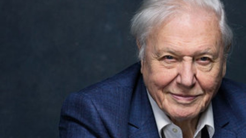Review of David Attenborough's A Life on Our Planet: My Witness Statement Vision for the Future and Tim Flannery's The Climate Cure: Solving Climate in the Era of