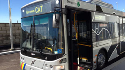 Blue and Green CAT buses have not been in service during the industrial action.