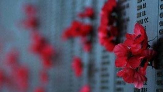 The poppy has become a powerful symbol of remembrance. 