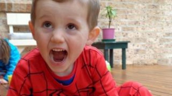 William Tyrrell, who vanished in 2014.