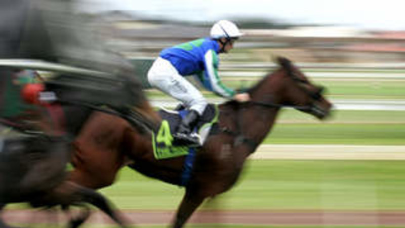 Tips and race-by-race guide for Scone on Tuesday