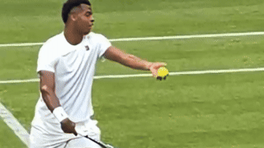 he ultimate tennis player would combine all the best skills and attributes of the leading players at this year’s Australian Open.