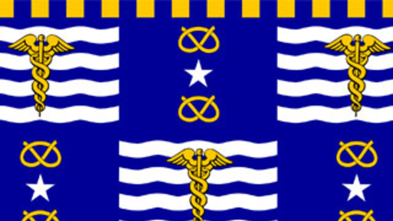 Yes, Brisbane has its own flag and some want it changed