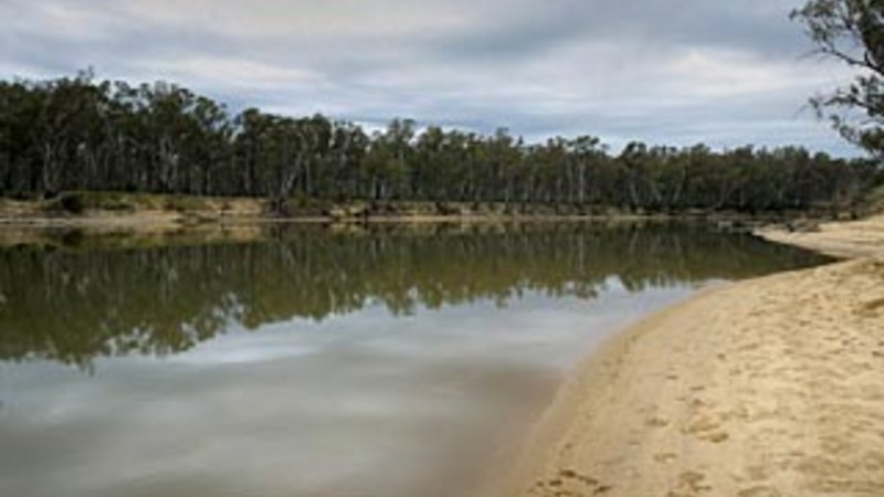 Woman found dead with two young children home, man arrested