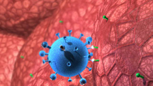 A computer-generated model of influenza. 