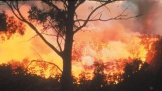 The bushfire was reported around 11am Saturday. 