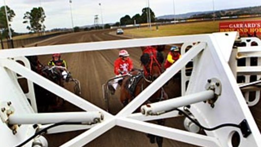 Stakes up: Grassroots prizemoney will have the horses ready to fly.