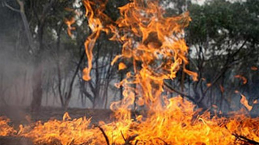 FILE IMAGE: Fire bans are in place across many parts of south-east and Queensland as several fires continue to burn. 