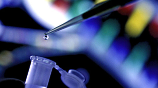 Test offers DIY genetic screening