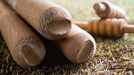 cricket stumps wickets