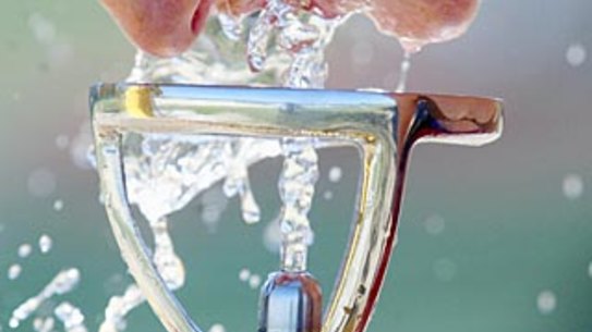 Using a water filter removes most microplastics.