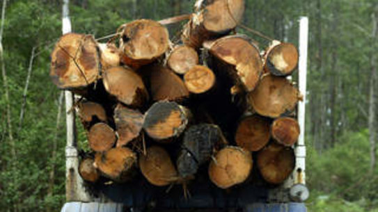 Bush turns its back on support for logging native forests
