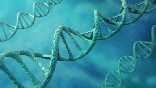 The troubling implications of My Health Record's genetic info plans