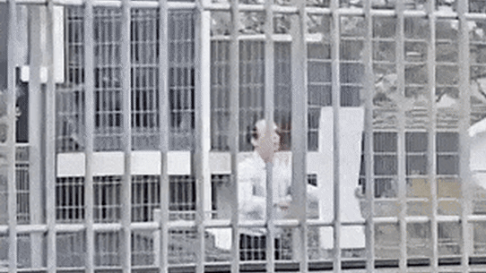 Mystery person rips down corflutes in Kingston.