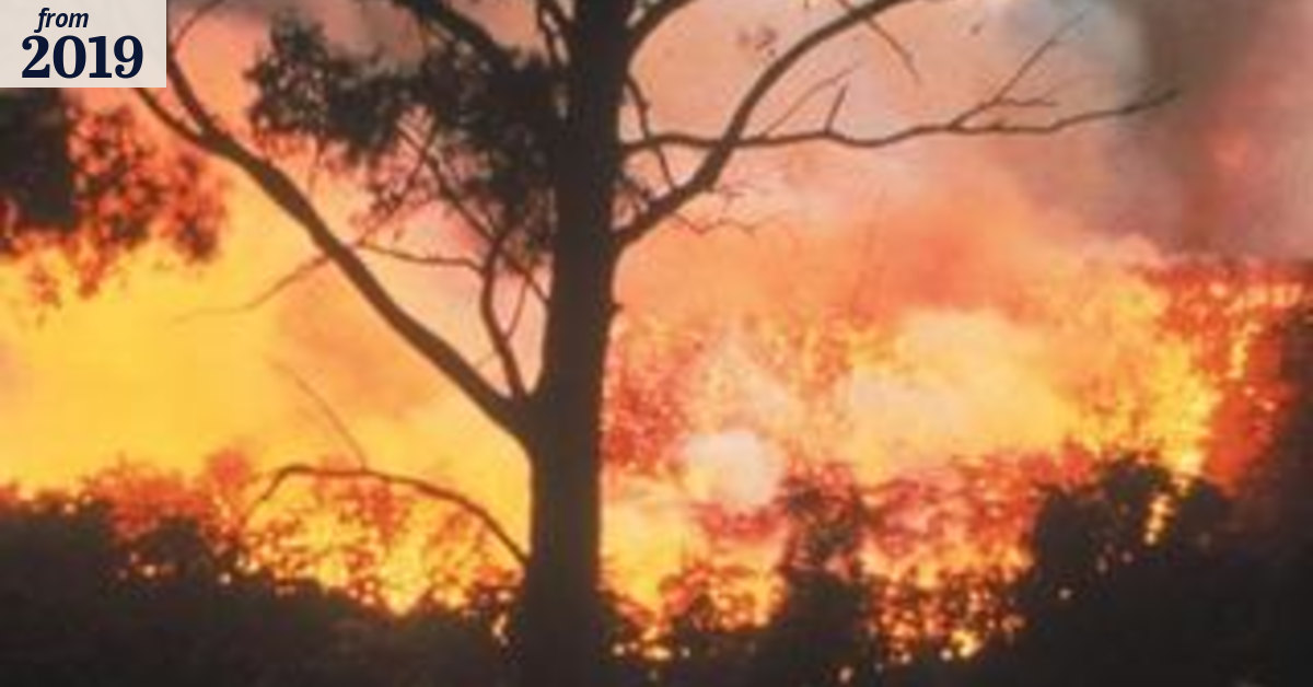 Scenic Rim bushfire worsens, residents urged to leave