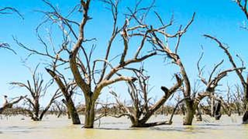 Letters: We need a long-term water plan - The Australian Financial Review