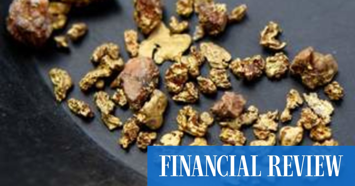 Kiwi gold: Federation Mining's Snowy River project hits the market - Vimarsana News